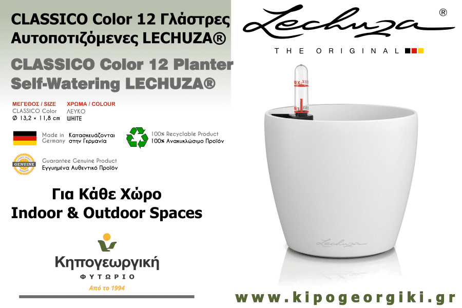 CLASSICO Color 12 White Planters